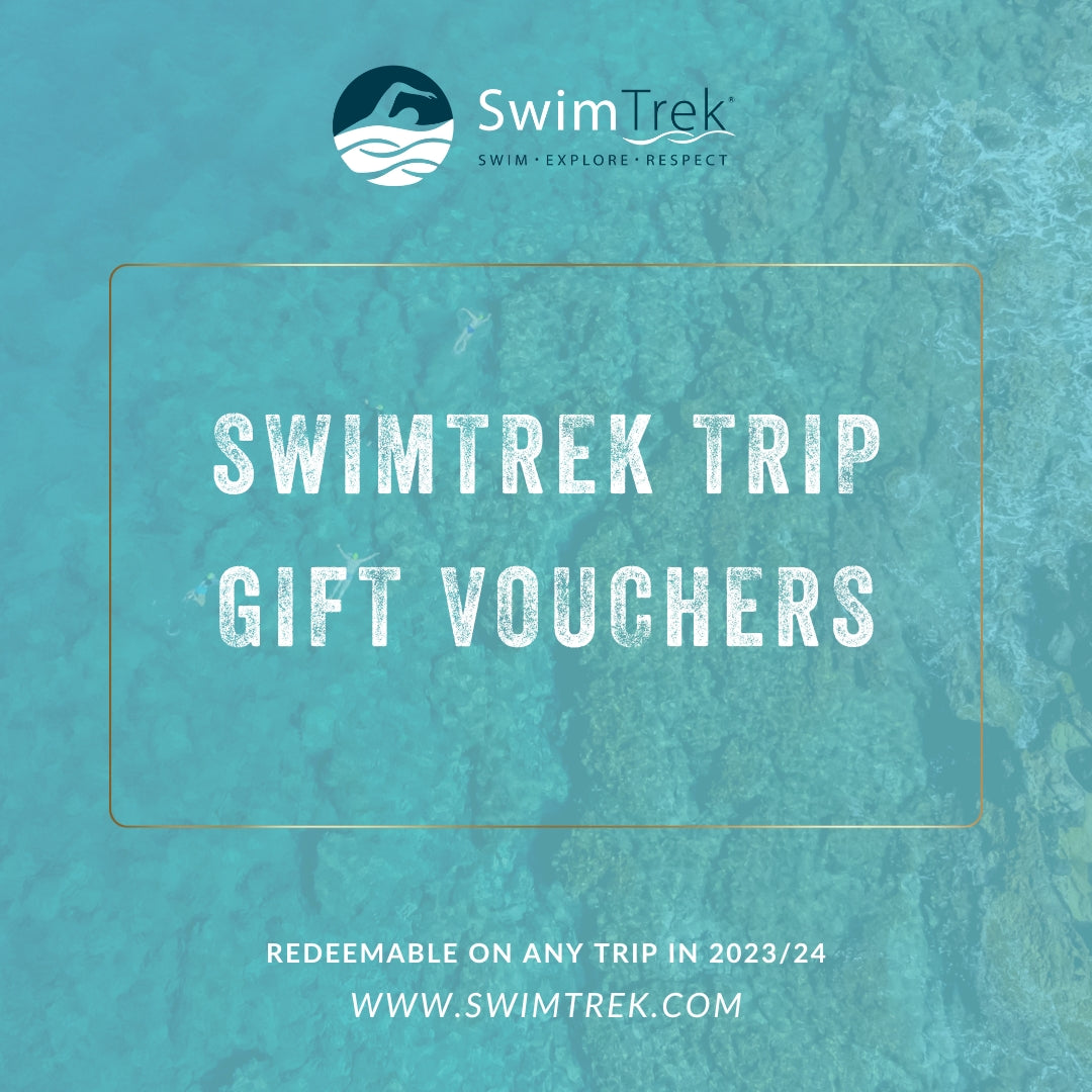 SwimTrek Holiday Gift Cards