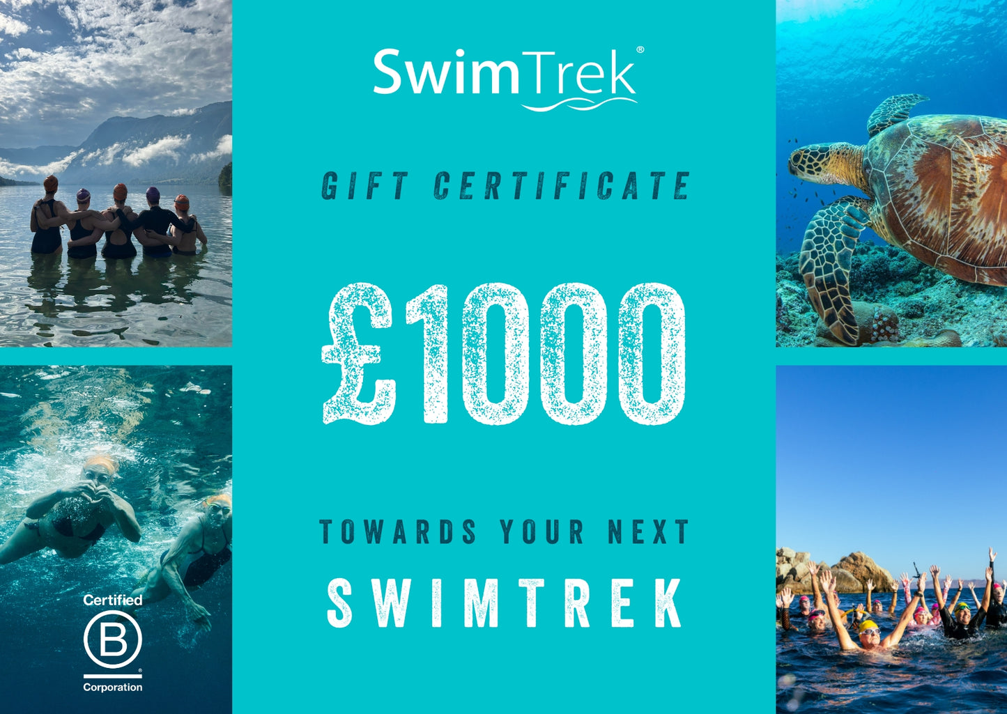SwimTrek Holiday Gift Cards