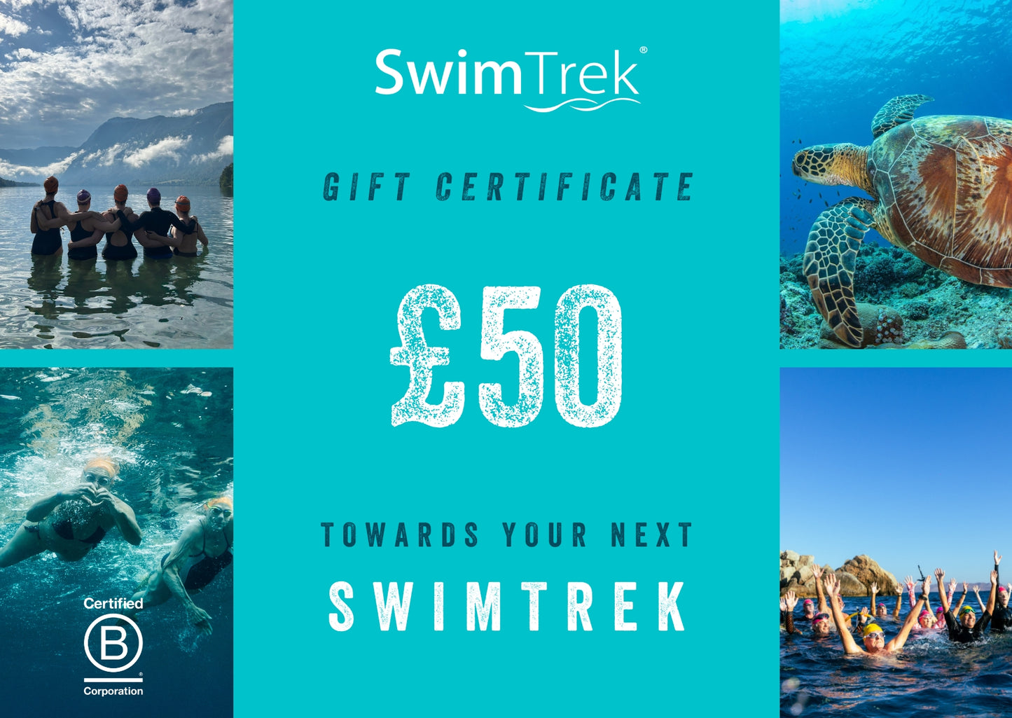 SwimTrek Holiday Gift Cards