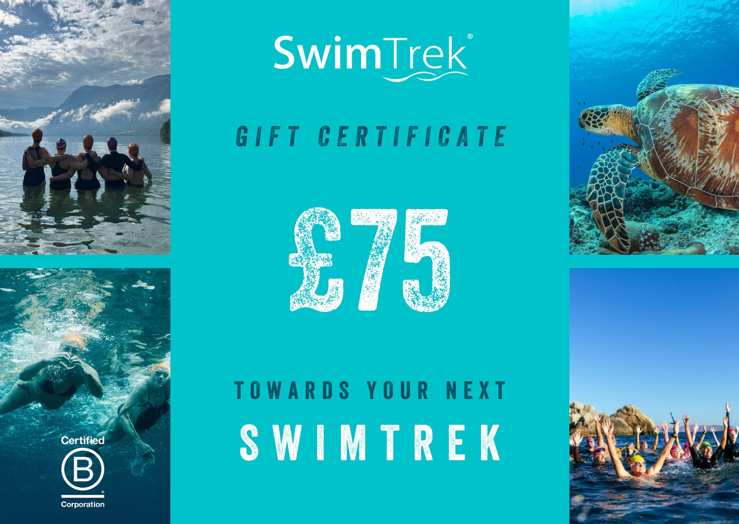 SwimTrek Holiday Gift Cards
